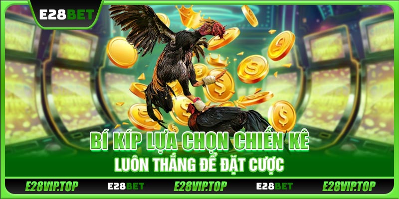 Bí kíp lựa chọn chiến kê luôn thắng để đặt cược