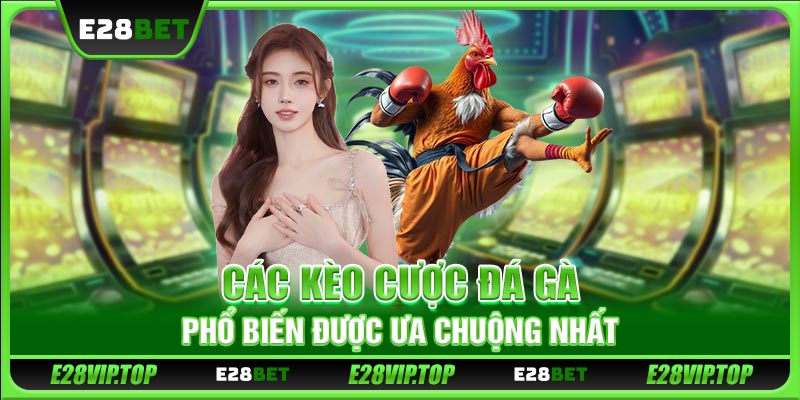 Các kèo cược đá gà phổ biến được ưa chuộng nhất