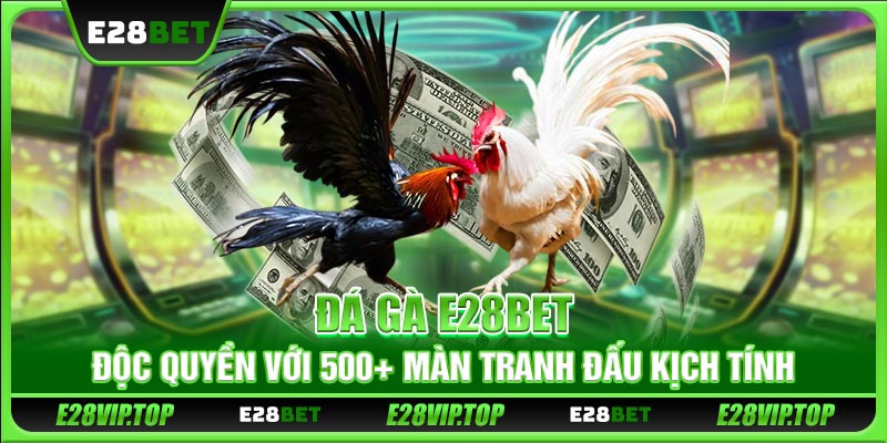 Đá Gà E28BET - Độc Quyền Với 500+ Màn Tranh Đấu Kịch Tính