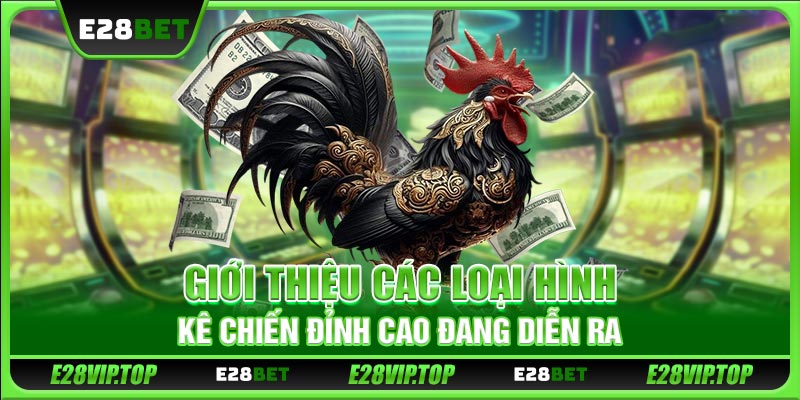 Giới thiệu các loại hình kê chiến đỉnh cao đang diễn ra