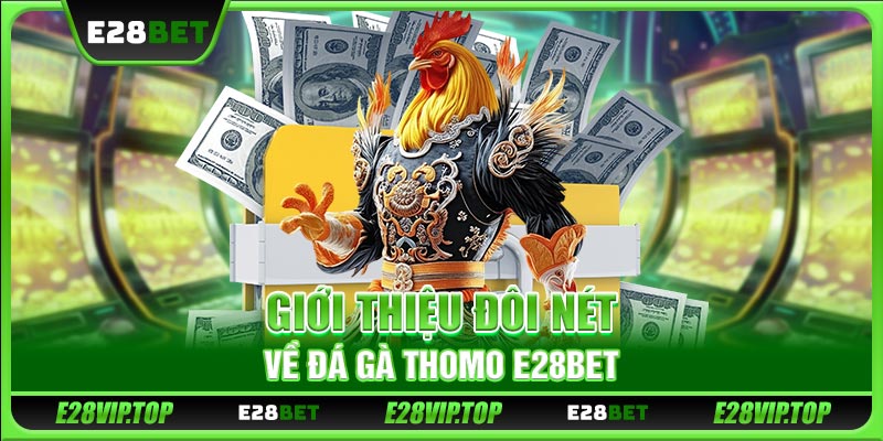 Giới thiệu đôi nét về đá gà Thomo E28BET