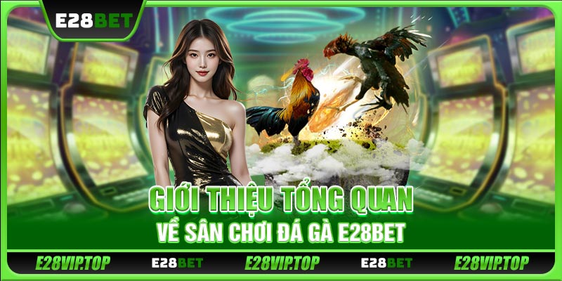 Giới thiệu tổng quan về sân chơi đá gà E28BET