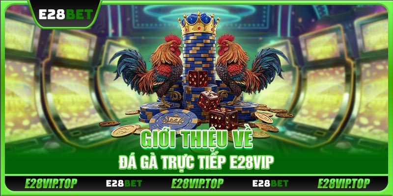 Giới thiệu về đá gà trực tiếp E28VIP