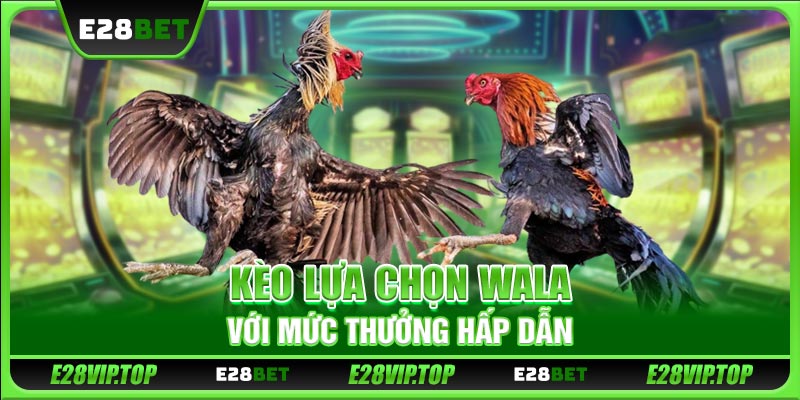 Kèo lựa chọn Wala với mức thưởng hấp dẫn