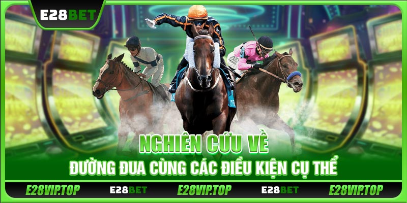 Nghiên cứu về đường đua cùng các điều kiện cụ thể