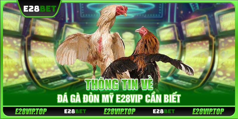 Thông tin về đá gà đòn Mỹ E28VIP cần biết