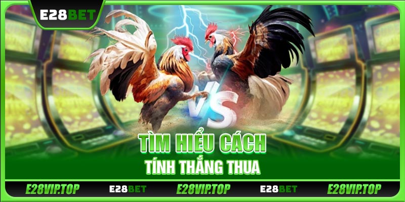 Tìm hiểu cách tính thắng thua